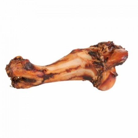 Jurassic Bone 